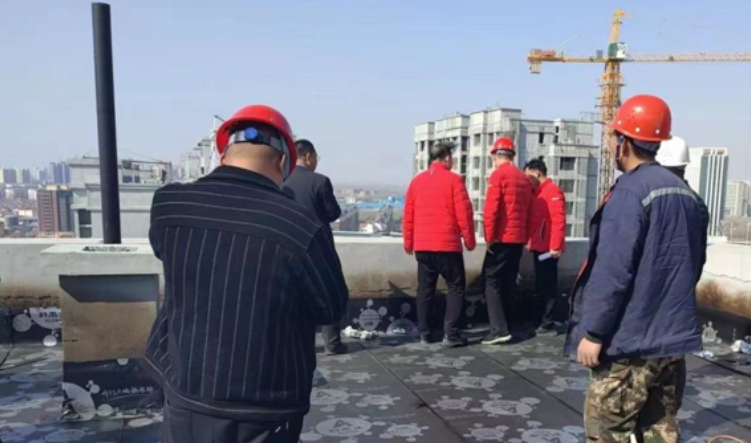 德百集团领导莅临禹城德百玫瑰园项目调研指导