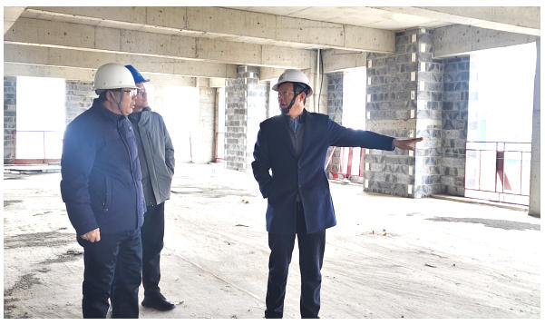 董事长杨海波赴动漫城项目检查指导